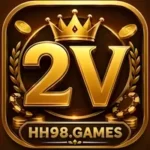 2V Game